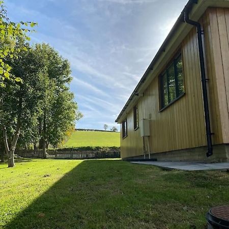 Cedar Garden Cottage East Chinnock Buitenkant foto