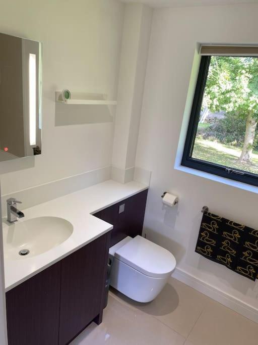 Cedar Garden Cottage East Chinnock Buitenkant foto
